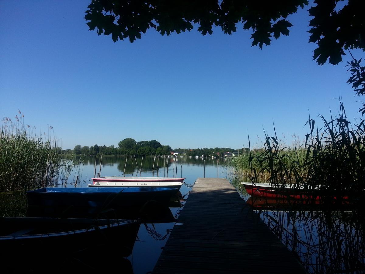 Holzhaus Waldwichtel Am Wald Und See Neuruppin Esterno foto