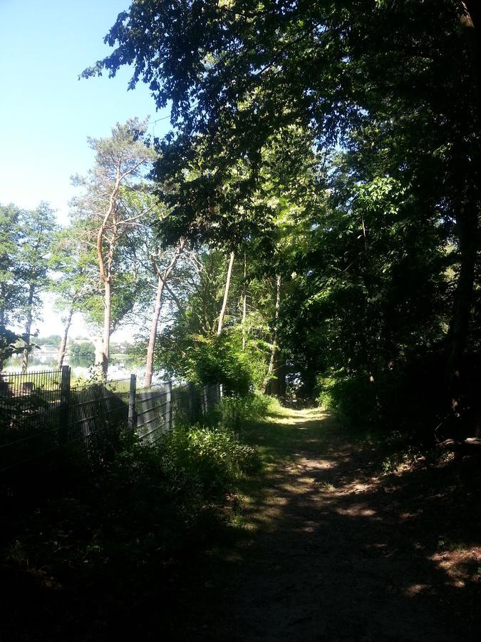 Holzhaus Waldwichtel Am Wald Und See Neuruppin Esterno foto